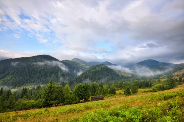 Fantastiskt fjäll landskap med dimma och färgglada örter. — Stockfoto