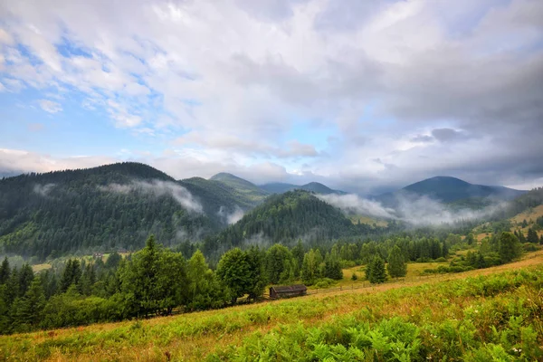 Erstaunliche Berglandschaft mit Nebel und bunten Kräutern. — Stockfoto