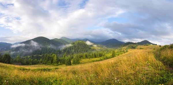 Geweldig berglandschap met mist en kleurrijke kruiden. — Stockfoto