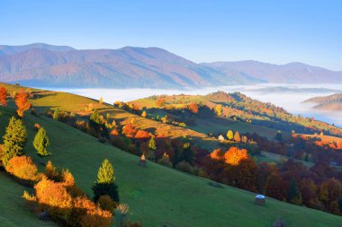 Güzel sonbahar dağ manzarası Sabah ışığında