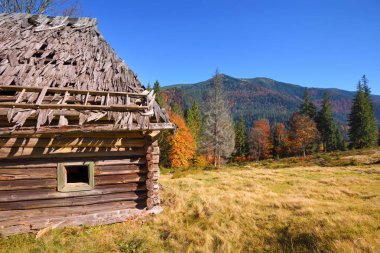 Karpatlar 'ın dağlarında eski ahşap kulübesi olan güzel bir manzara.