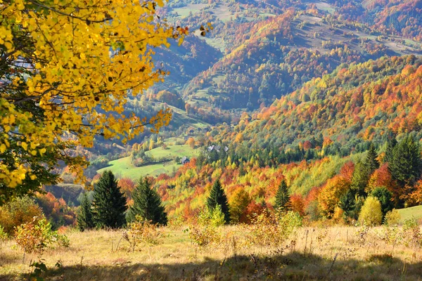 Hermoso paisaje de montaña de otoño en la luz de la mañana — Foto de Stock