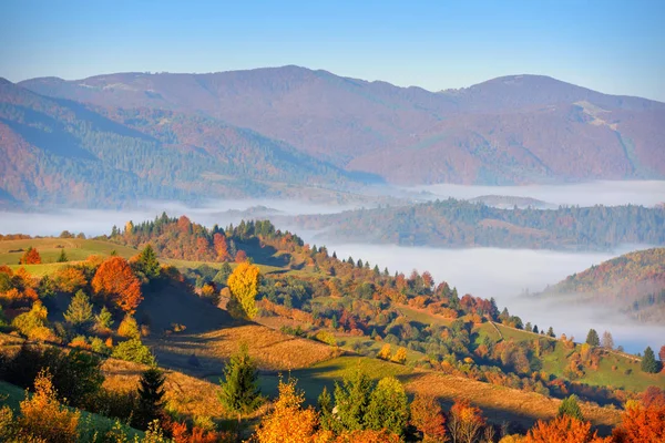 Hermoso paisaje de montaña de otoño en la luz de la mañana —  Fotos de Stock