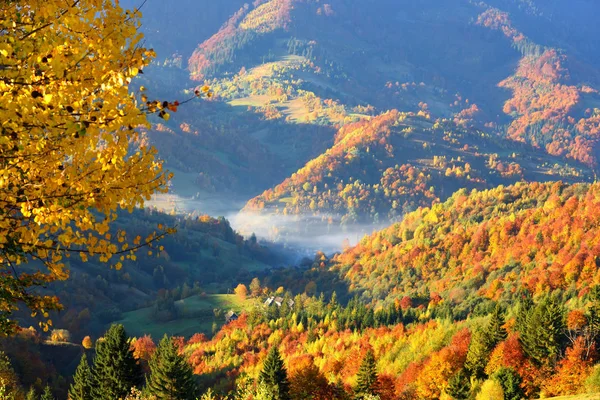 Hermoso paisaje de montaña de otoño en la luz de la mañana —  Fotos de Stock