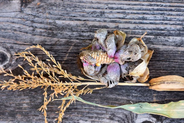 トウモロコシの香り(ウスチラゴザイアンガー) 。トウモロコシの穂軸上のウスティラゴ病 — ストック写真
