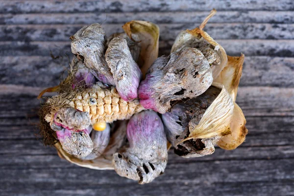 Кукурузная каша (Ustilago zeae Unger). Болезнь устилаго майдис на кукурузном початке — стоковое фото