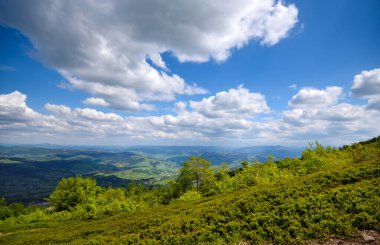 Dağlarda yaz manzarası ve bulutlu mavi gökyüzü. Carpathian, Ukrayna, Avrupa.