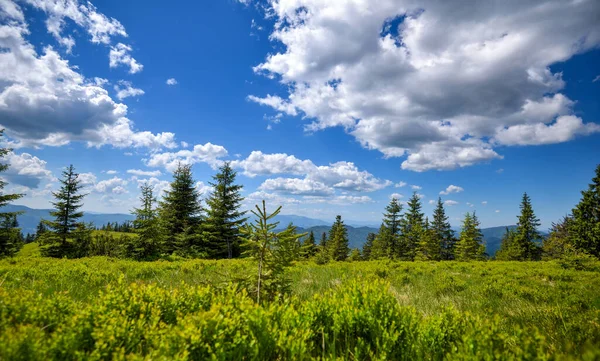 Paisaje Verano Montañas Cielo Azul Con Nubes Cárpatos Ucrania Europa — Foto de Stock