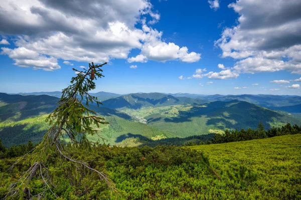 Paysage Estival Montagnes Ciel Bleu Avec Nuages Carpates Ukraine Europe — Photo