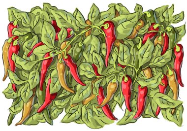 İilustration kırmızı biber ve yaprakları ile ayarla