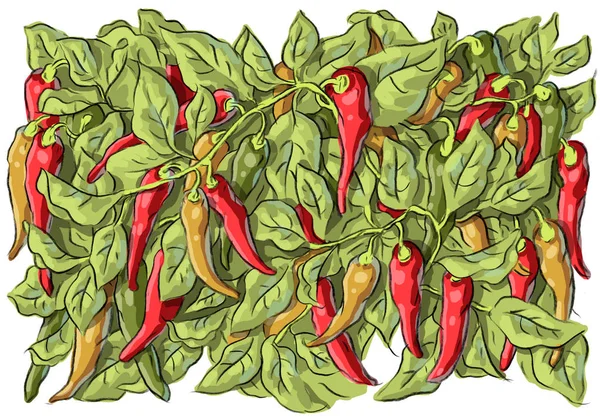 Conjunto Iilustración Con Pimiento Rojo Hojas — Archivo Imágenes Vectoriales