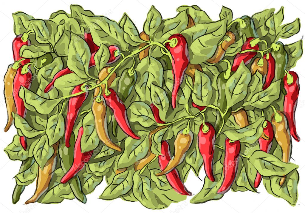 Set iilustration with red pepper and leaves