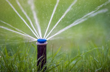 Çimleri sularken otomatik bahçe fıskiyesi