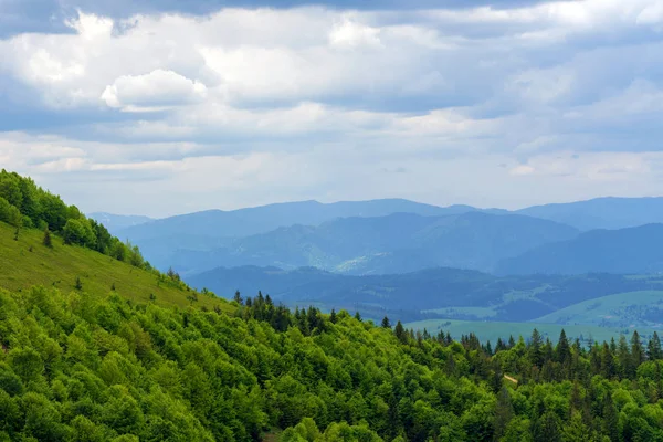 Magnificent Landscape Blue Mountains Horizon — Stock Photo, Image