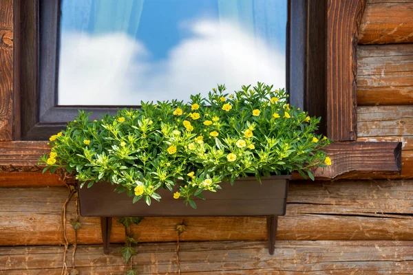 木造住宅の窓花箱 — ストック写真