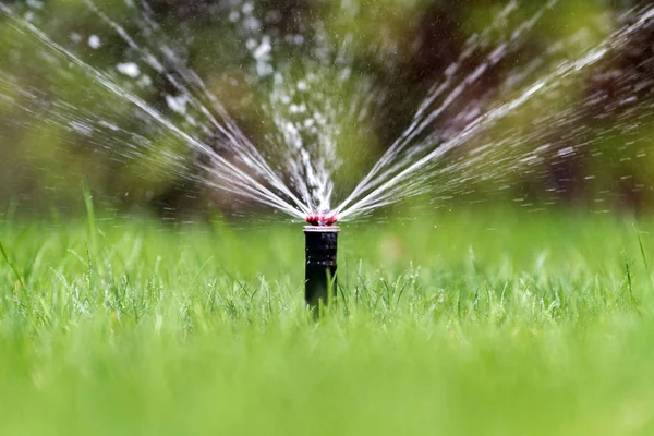 自动花园草坪洒水器在行动浇水草坪 — 图库照片