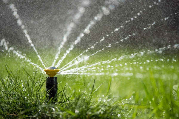 自动花园草坪洒水器在行动浇水草坪 — 图库照片