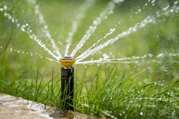 Automatisk Trädgård Gräsmatta Sprinkler Aktion Vattning Gräs — Stockfoto