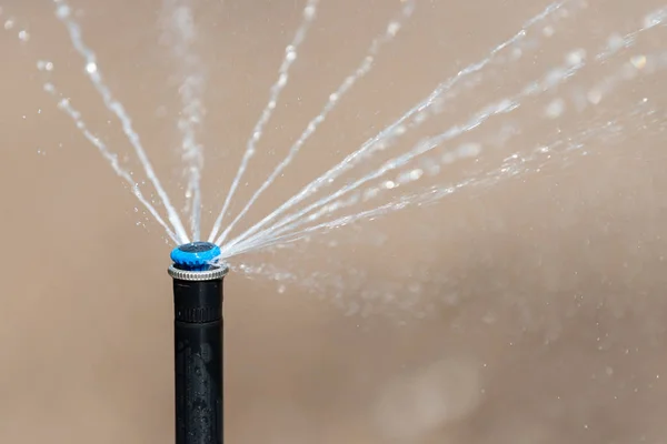 Automatická Zahradní Trávník Sprinkler Akci Zalévání — Stock fotografie