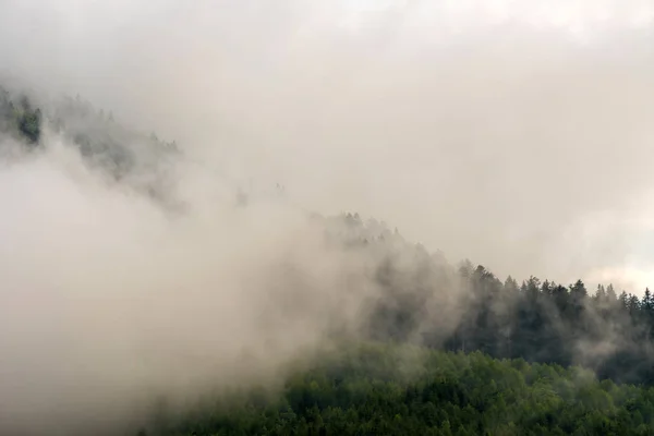 Vista Panorâmica Das Florestas Montanha Que Cobrem Pelo Nevoeiro — Fotografia de Stock