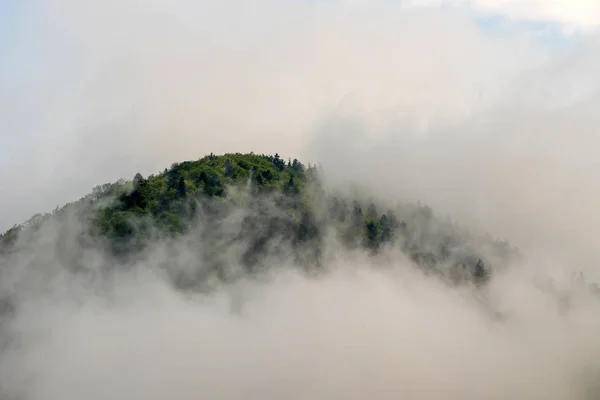 Vista Panorâmica Das Florestas Montanha Que Cobrem Pelo Nevoeiro — Fotografia de Stock