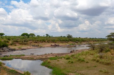 Kenya Ulusal Parkı, Afrika nehir, Savannah yatay