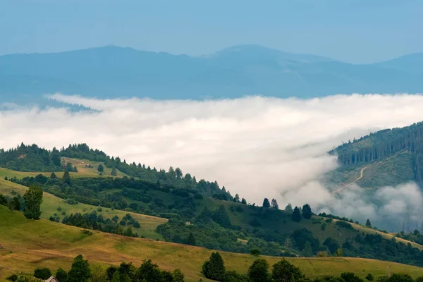 夏天的山上有雾的早晨 — 图库照片