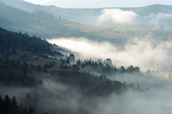 Vue Panoramique Sur Les Forêts Montagne Recouvertes Brouillard — Photo