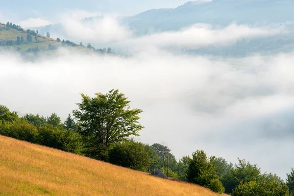 Mañana Brumosa Las Montañas Verano — Foto de Stock