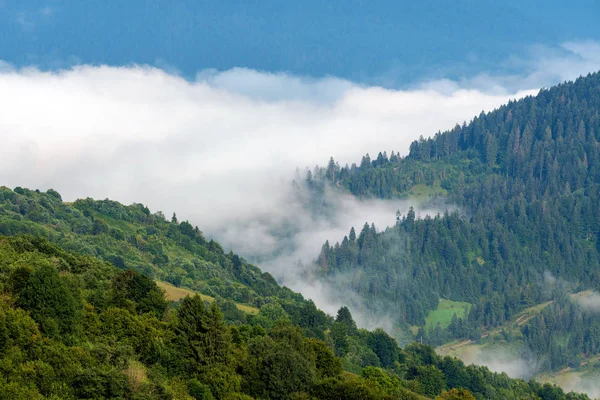 夏の山の霧の朝 — ストック写真