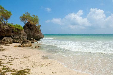 Okyanus plaj ve tropikal. Gökyüzü ve okyanus