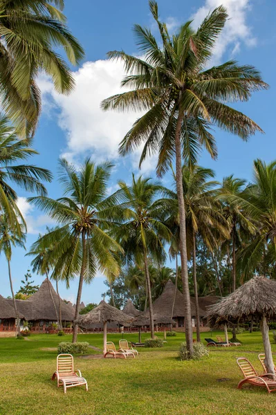 Pięknych Palm Plaży Oceanu Indyjskiego — Zdjęcie stockowe