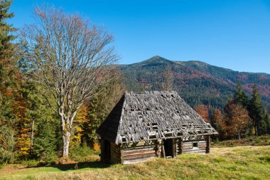 Sonbahar dağ eski ahşap evde yalnız