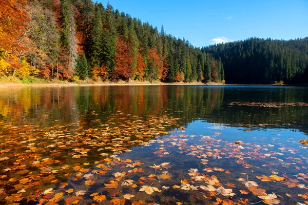 Doskonałe Jesienne Drzewa Odbicia Jezioro Liści — Zdjęcie stockowe