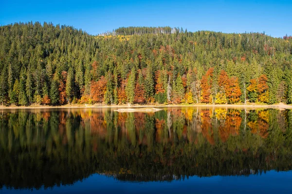 Perfektní Podzimní Strom Odrazy Jezeře Listy — Stock fotografie