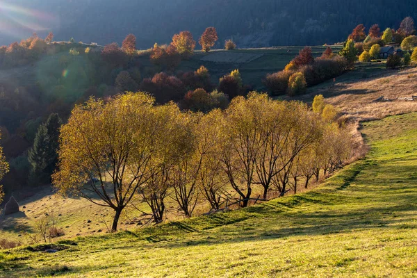 Krásná Krajina Kouzelnou Podzimní Stromy Spadané Listí Horách — Stock fotografie