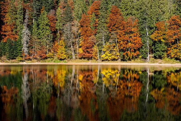 Perfekte Herbst Baum Reflexionen See Mit Blatt — Stockfoto