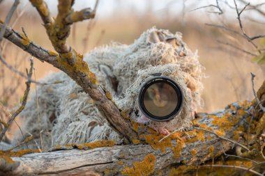 vahşi yaşam fotoğrafçısı doğada çalışma ghillie takım elbise kamuflaj