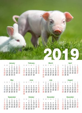 Bebek komik domuz yavrusu çim. Takvim 2019 yıl