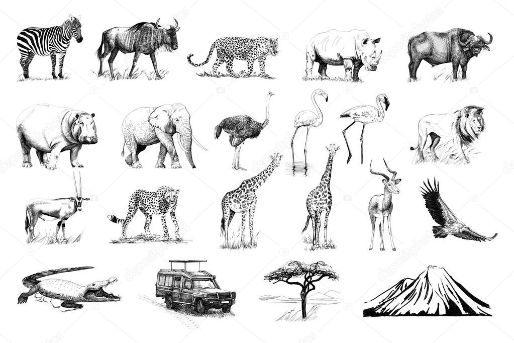 Set of many african animals and car, tree, mountain hand drawn illustrations (originals, no tracing)