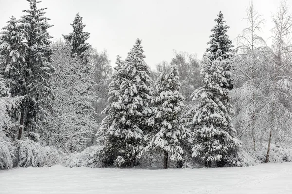 Winter Park Med Många Snö Dyster Dag — Stockfoto