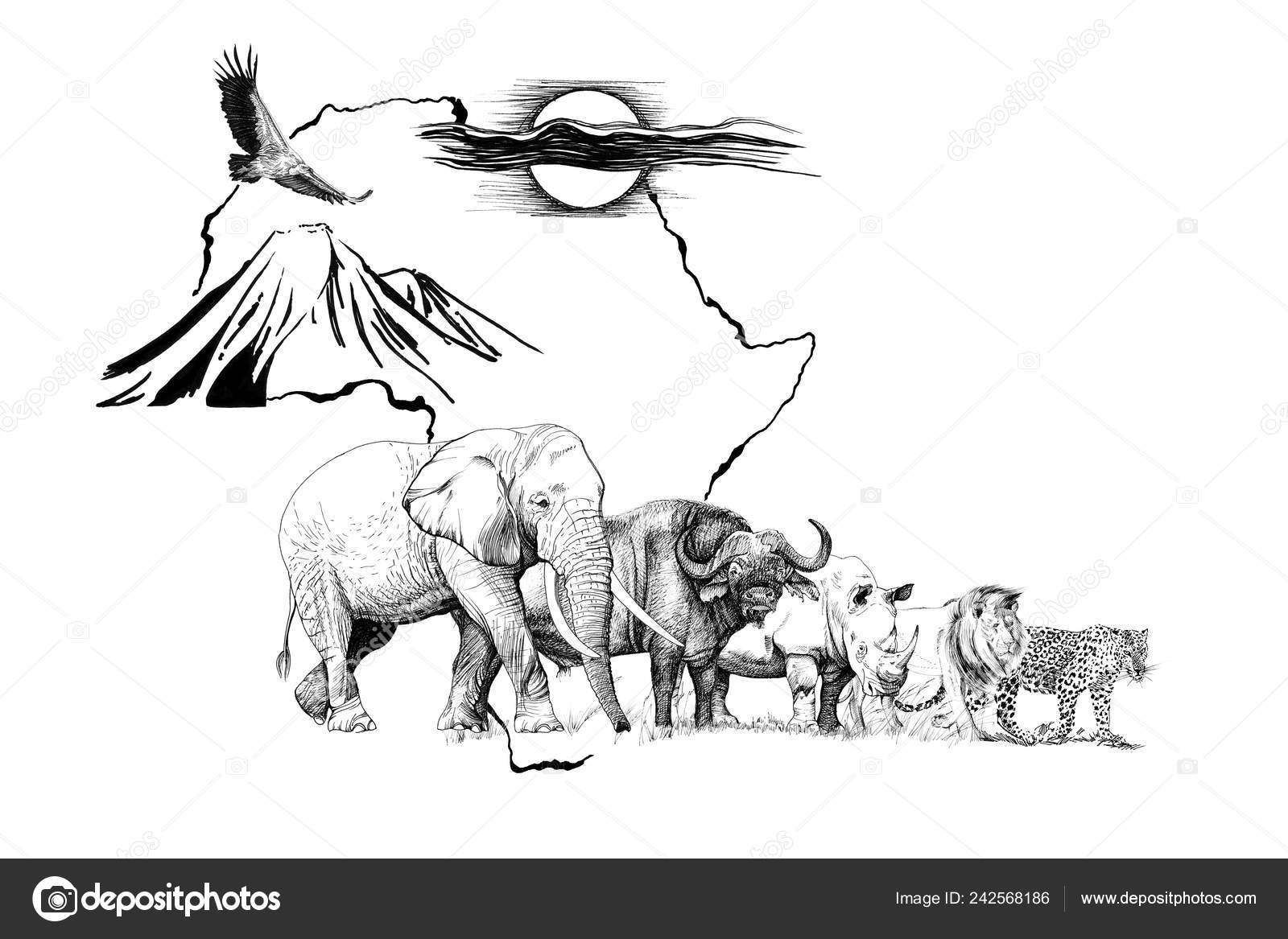 Big African Five Animal Africa Map Bakground Mount Sun Hand Stock Photo by  ©VolodymyrBur 242568186
