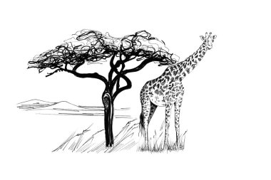 Yakınındaki bir ağaç Afrika'da zürafa. Elle çizilmiş şekil. Elle çizilmiş resimler (aslı, hiçbir izleme koleksiyonu)