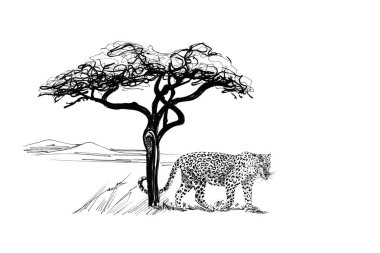 Leopar ağaca Afrika yakınındaki. Elle çizilmiş şekil. Elle çizilmiş resimler (aslı, hiçbir izleme koleksiyonu)