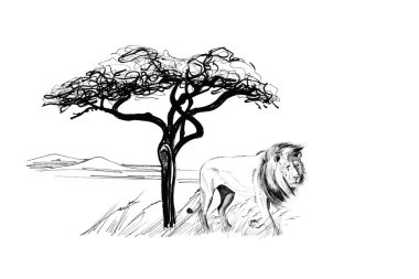Erkek aslan bir ağaç Afrika yakınlarında. Elle çizilmiş şekil. Elle çizilmiş resimler (aslı, hiçbir izleme koleksiyonu)