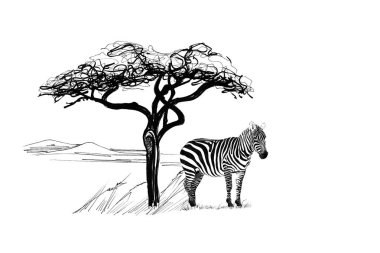 Yakınındaki bir ağaç Afrika'da zebra. Elle çizilmiş şekil. Elle çizilmiş resimler (aslı, hiçbir izleme koleksiyonu)