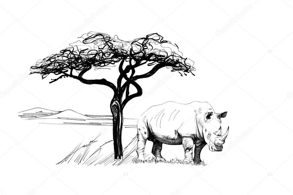 Rhino near a tree in africa. Hand drawn illustration. Collection of hand drawn illustrations (originals, no tracing)