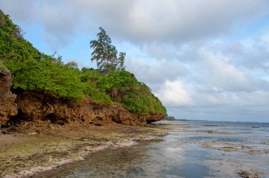 okyanus plaj ve tropikal