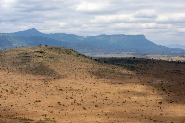 Paisaje de sabana en el Parque Nacional de Kenia — Foto de Stock