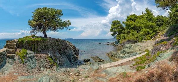 Árbol solitario en la roca en el fondo del mar — Foto de Stock